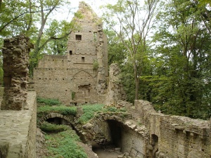ruins of Disibodenberg